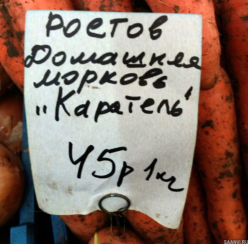 Морковь каратель описание сорта фото